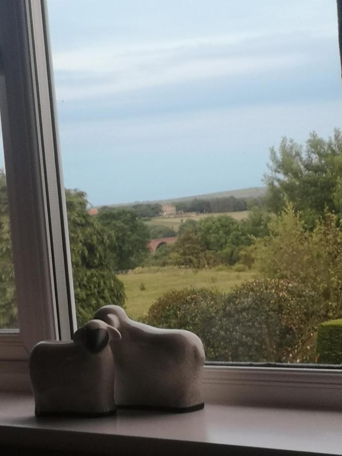 Greystones Guesthouse 휫비 외부 사진